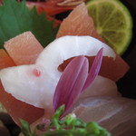 加賀旬彩　梅八 - お造りにうさぎが隠れてました(笑)