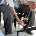 高倉町珈琲 高崎店 - 