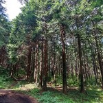 キャトル サンドイッチズ - 