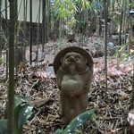 九つ井 - たぬき