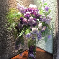 ボンシィク - 