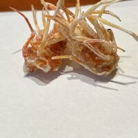 天麩羅 四季彩 村松 - 