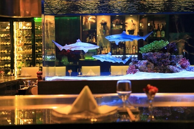 Teppan Dining Shuu Sakae ten, Nagoya, Japan
