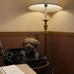 Restaurant Hamy's 가루이자와 - 자신의 메뉴도 가지고 있는, 신나 있는 개