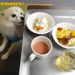 Yukai Wanwan Rizoto Awadu - デザートはティラミスが優勝!!