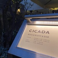 CICADA - 