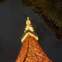 ワカヌイ グリル ダイニング バー 東京 - 