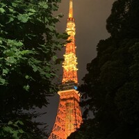 ワカヌイ グリル ダイニング バー 東京 - 