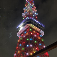 ワカヌイ グリル ダイニング バー 東京 - 