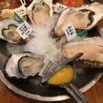 Oyster Bar ジャックポット - 生牡蠣5種盛り　◎厚岸