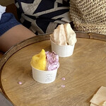 MINORI GELATO - 