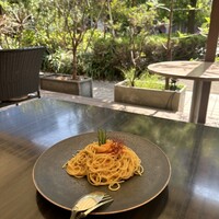 カレス - 