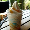 ミルクハウス - ソフトクリームカップ(税込450円)＋マンゴーソース(税込30円)
