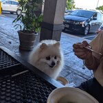 Uncle Clay's House of Pure Aloha - 