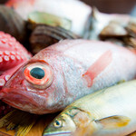Waraku Dainingu Biriken - 毎日仕入れる魚は鮮度抜群！！