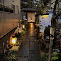 古月 - 