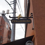 PELLEGRINO - 