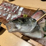 釣船茶屋 ざうお 新宿店 - 