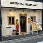 Oriental Elephant - 