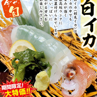 【期间限定大特价】 当下最流行的白鱿鱼奢华的姿造刺身!
