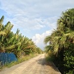 とうふの比嘉 - 