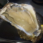 徳島北沖州産１６００円