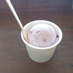 Hilo Homemade Ice Cream - シングルカップ（470円税込）ブルーベリー（藤沢産）