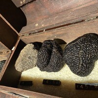 マルゴット エ バッチャーレ - 