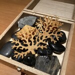 日本のイタリア料理店 sai - 