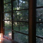 草季庵 - 席よりお庭。