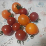 松原農園 - トマト