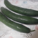 松原農園 - きゅうり