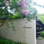 IVY PLACE - 