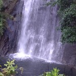 金松うなぎ - 滝が流れてるから、とても涼しい