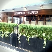 Terres de Truffes, Tokyo - Terres de Truffes,Tokyo