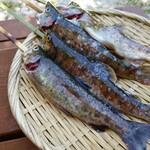 渓流魚の里　七瀬川 - 