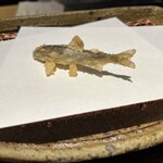 みかわ 是山居 - 