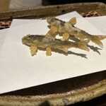 みかわ 是山居 - 