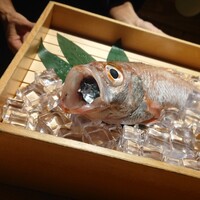 のどぐろ専門 銀座 中俣 - 