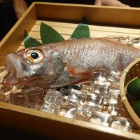 のどぐろ専門 銀座 中俣 - 
