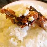 みすたーらいおん - 