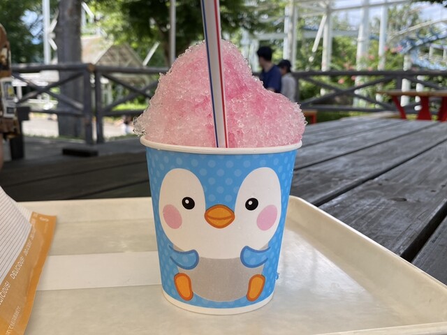 野外広場 - 茂吉記念館前（かき氷）の写真
