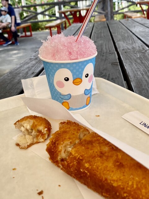 野外広場 - 茂吉記念館前（かき氷）の写真
