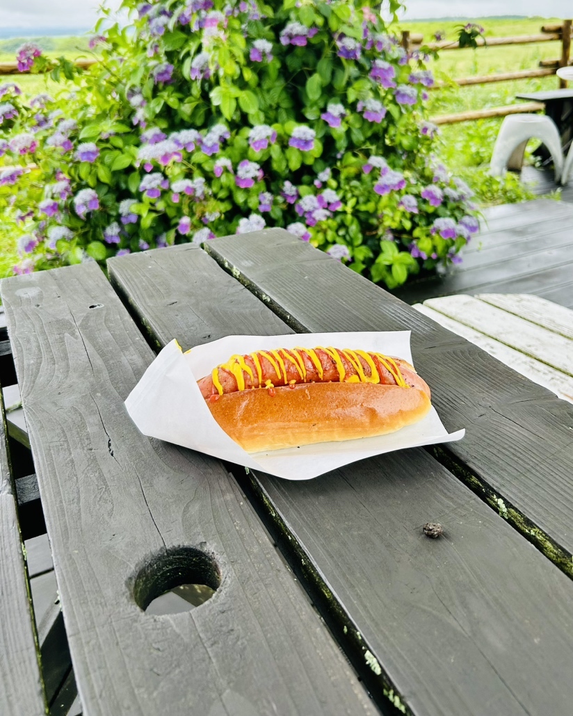 写真 : 阿蘇の森 ドッグライダー・アソドッグ （DOG RIDER -ASO DUG