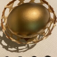 ツキと寿っぽん -  ツキと寿っぽん -