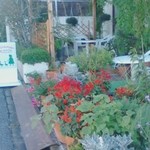 アマリエンボーン - 花の足利