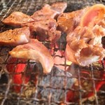 Ikudon - ホルモン定食 ¥500
                        シロ、ナンコツ、タン、ハツ、レバ、カシラのなかから二品でこの値段！
                        一品追加で ¥200なのだ
                        ライス、キャベツ、キムチ、スープ付き！
                        