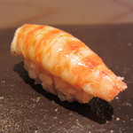 匠 すし昂 - 車海老