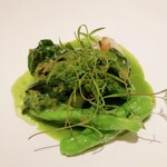 カンテサンス - 