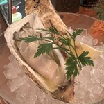 築地トゥットベーネ - 